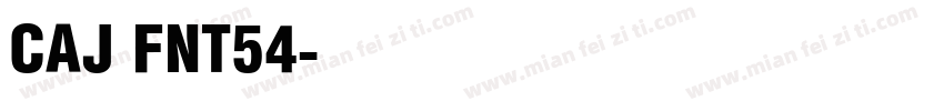 CAJ FNT54字体转换